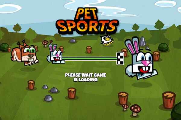 Play Online Pet Sports Game