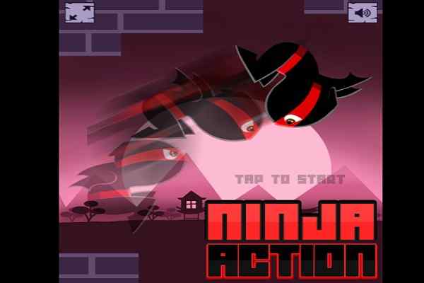 Ninja Action games