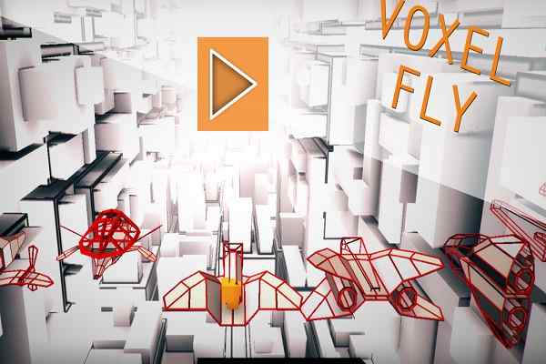 Voxel Fly games