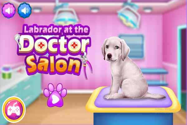 Labrador at the Doctor Salon games