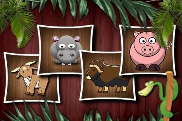 Animal Shapes 3 games